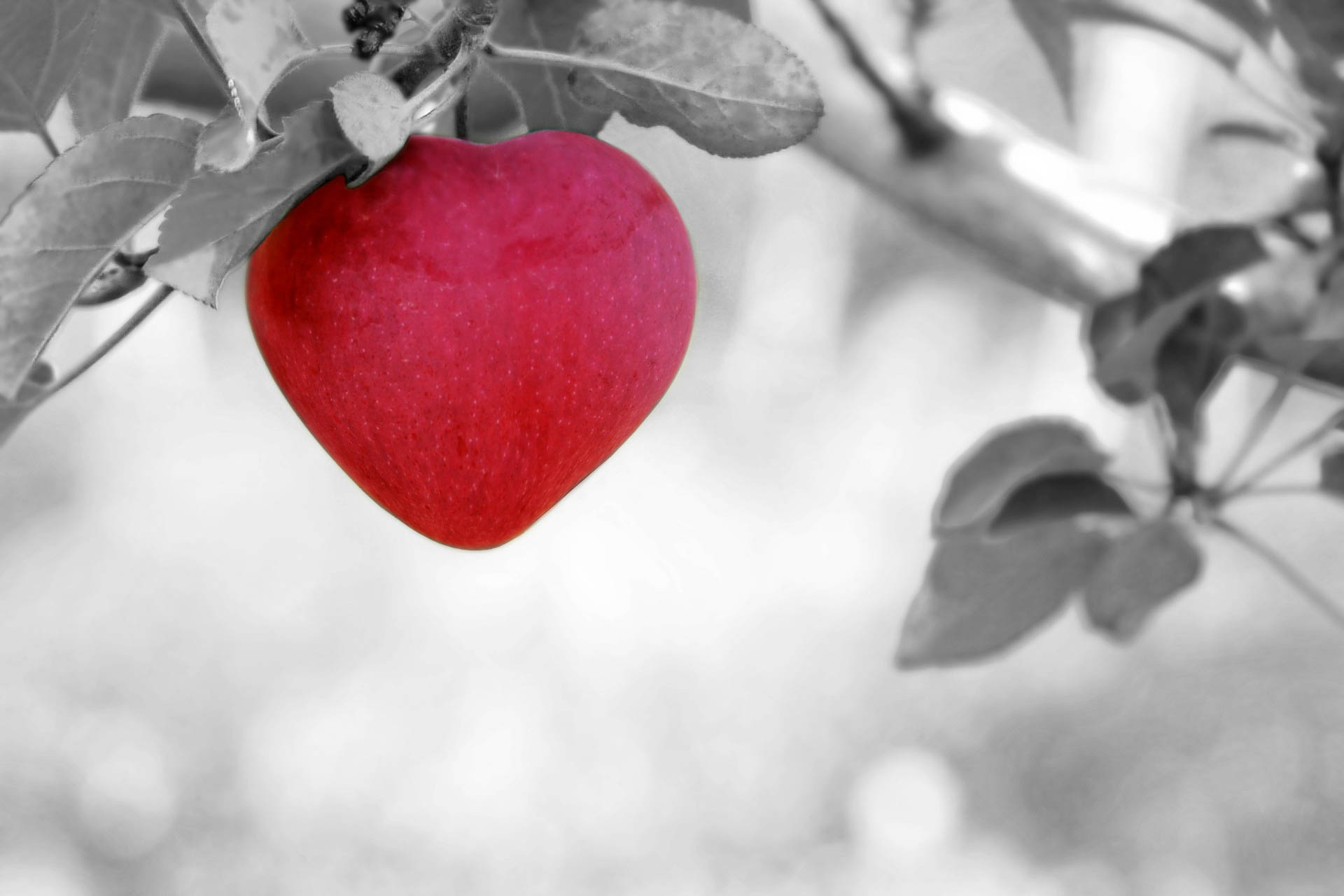 The Heart of A True Leader